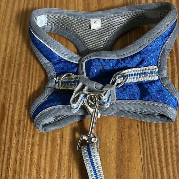 Small Dog Collection - Picture 11 of 11